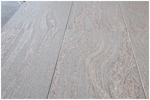 Colombo-Juparna-300x200