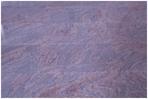 ColomboJuparana-300x200